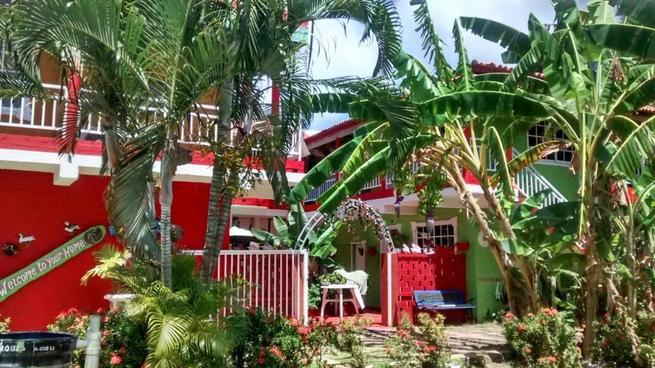 Posada Nativa Licy San Andrés Kültér fotó